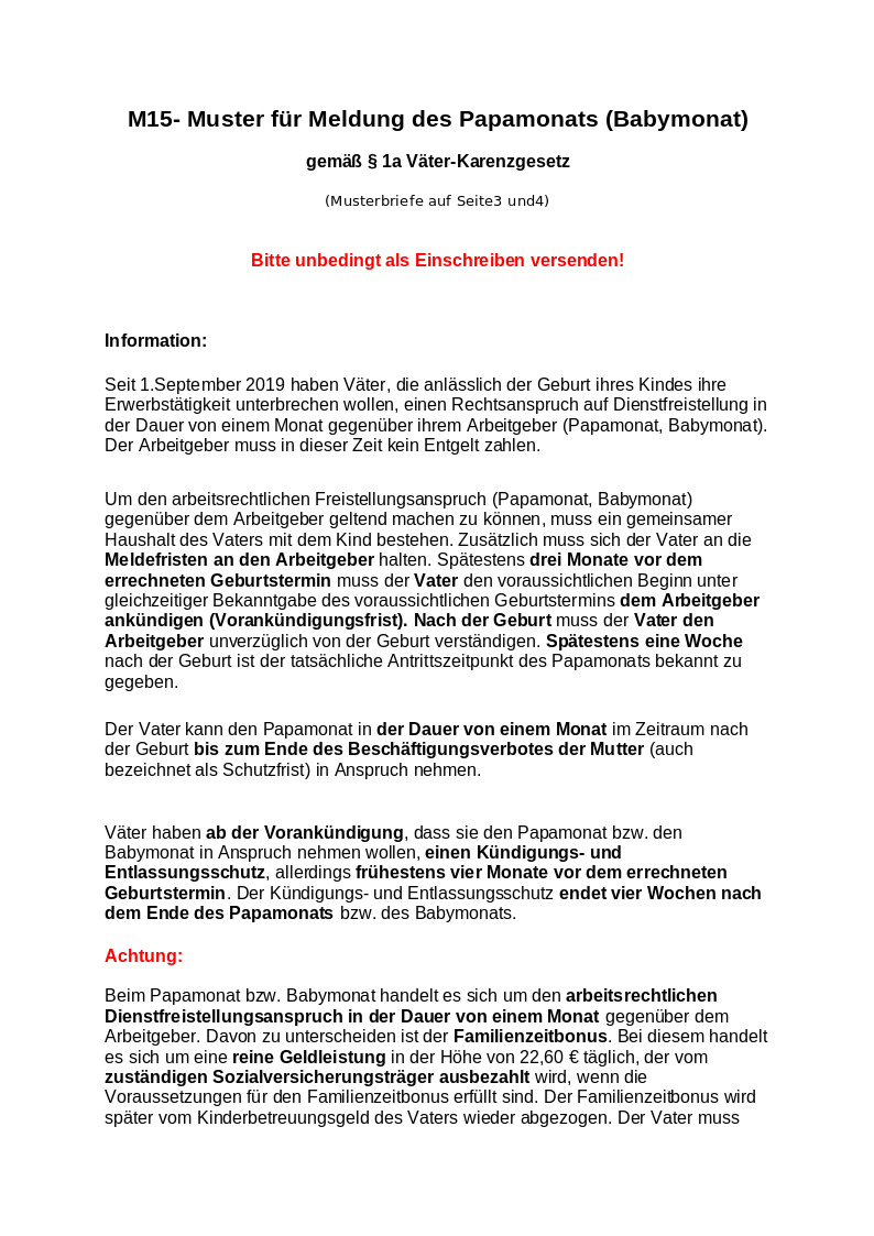 M15 - Muster für Meldung des Papamonats